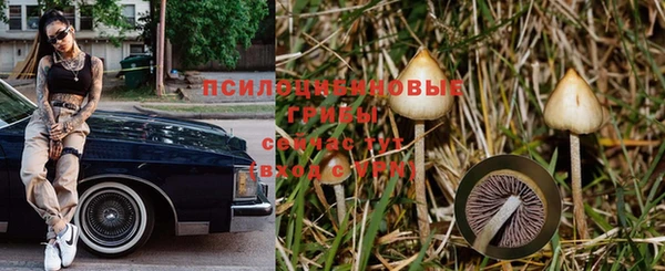 соль ск Володарск