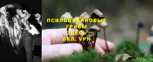 соль ск Володарск