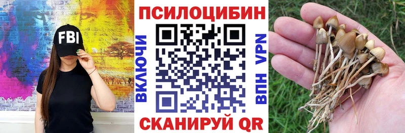 Купить где  Буйнакск  Галлюциногенные грибы Cubensis 